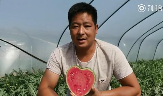 吃瓜来了的视频,揭秘热门事件背后的真相与笑料