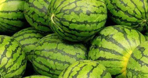 吃早瓜,健康生活新篇章