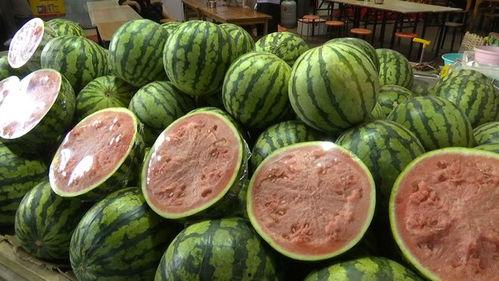 吃瓜大白15,一场关于瓜果的狂欢盛宴