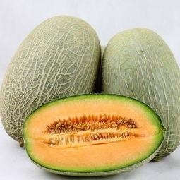 母女吃哈密瓜,哈密瓜美食之旅