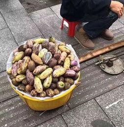 益阳吃瓜,吃瓜群众的味蕾盛宴