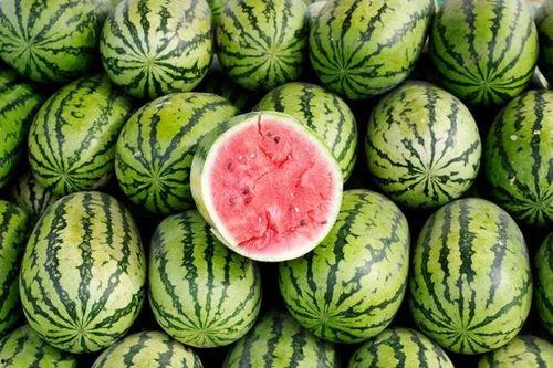 吃瓜观看图片,吃瓜群众视角下的视觉盛宴