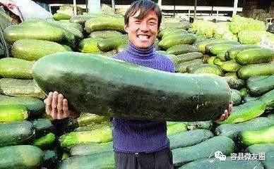 不爱抬杠的吃瓜,带你轻松解读娱乐圈风云