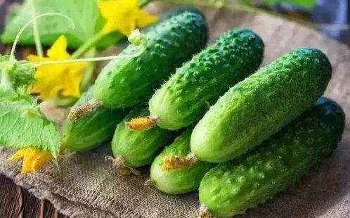 怎么制作吃瓜镇,探寻神秘小镇的制作秘籍