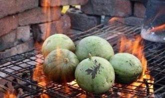 火星吃瓜天团,揭秘火星居民的趣味生活