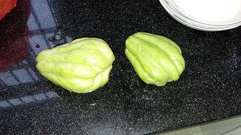 兔儿瓜可以水煮吃吗