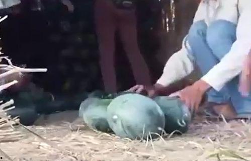 黑美人吃瓜视频,揭秘娱乐圈幕后真相