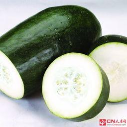 女孩夏日吃瓜头像