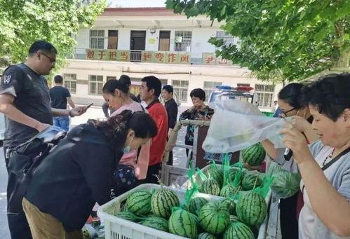 吃瓜群众林美美,揭秘吃瓜群众的趣味生活