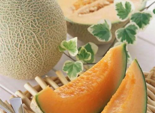 瓜洲吃哈密瓜图片,哈密瓜香飘四溢