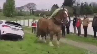 小马吃瓜摊大理,大理风情下的甜蜜邂逅