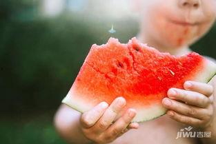 正荣吃瓜,揭秘娱乐圈背后的那些事儿