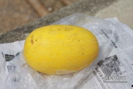 瑞丽大量吃瓜,揭秘海量瓜果背后的故事