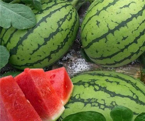 大漂亮吃瓜合集,揭秘娱乐圈幕后故事