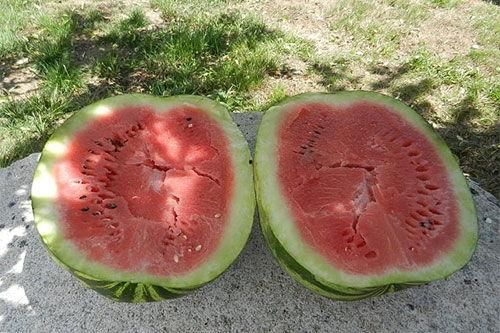 梦见别人给我田瓜吃,探寻心灵深处的寓意与启示