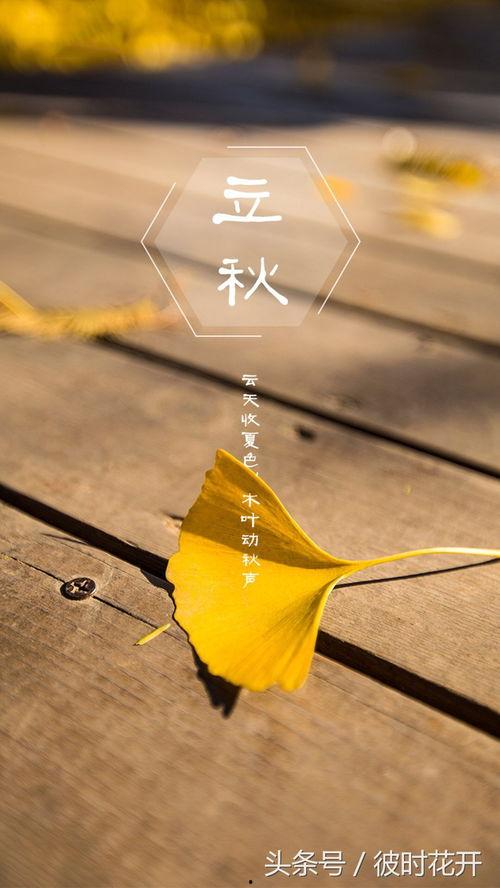 吃瓜乐图片图文,揭秘娱乐圈幕后趣闻，带你领略明星们的真实生活