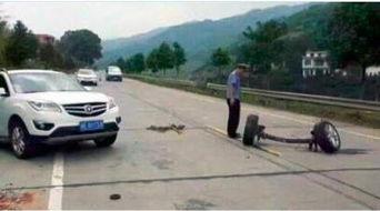 不明事理的吃瓜,他们为何热衷于围观是非？