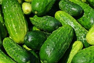 梦见吃瓜是生瓜