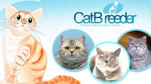 吃瓜猫咪素材视频下载,萌态十足，网友直呼“治愈系”