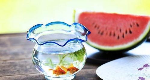 暗黑吃瓜群,揭秘网络社交背后的暗流涌动