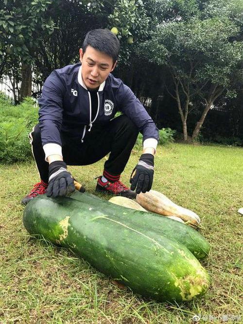 地上吃的瓜叫什么瓜,探寻地上瓜果的别样风味