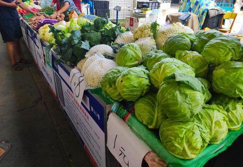 北京朝阳大妈吃瓜