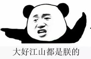 工作群吃瓜群众,他们眼中的职场风云