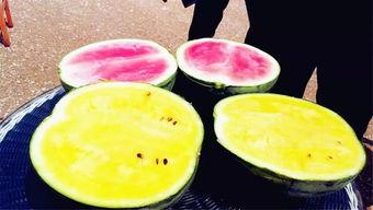 最快爆料吃瓜,娱乐圈最新猛料，揭秘明星幕后真相！