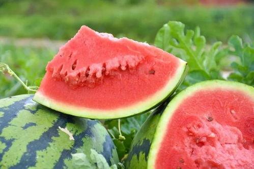 广东叶同学吃瓜,揭秘网络热议背后的真相