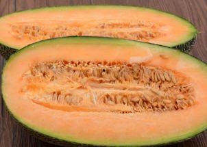 石头人吃哈密瓜,邂逅哈密瓜的甜蜜之旅