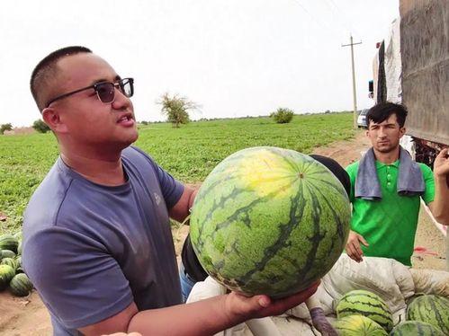 吃瓜专用图片大全,盘点那些爆笑的吃瓜专用图片大全