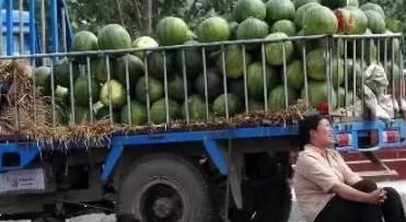 吃瓜进城,揭秘城市生活背后的酸甜苦辣