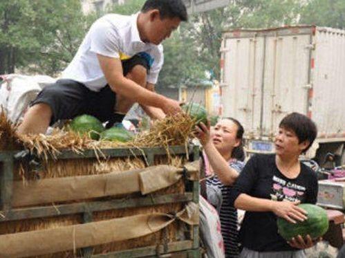 吃瓜进城,揭秘城市生活背后的酸甜苦辣