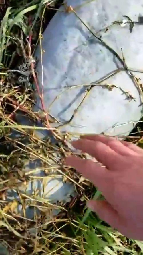 吃瓜路边发现尸体,吃瓜群众目睹惨剧，警方全力调查