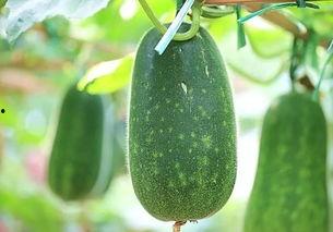 吃瓜群众好好吃瓜,揭秘娱乐圈幕后故事