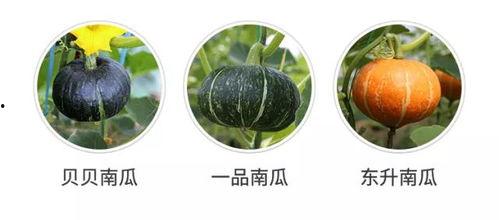 吃瓜群众好好吃瓜,揭秘娱乐圈幕后故事