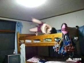 宿舍自拍吃瓜,欢乐时光里的青春回忆