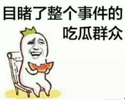 吃瓜张小娱,揭秘娱乐圈背后的故事