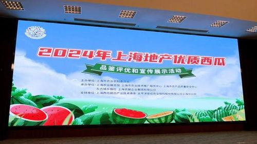 地产吃瓜活动,揭秘“吃瓜”背后的地产盛宴