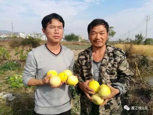 吃瓜群众饭后活动,揭秘现代人的休闲新方式