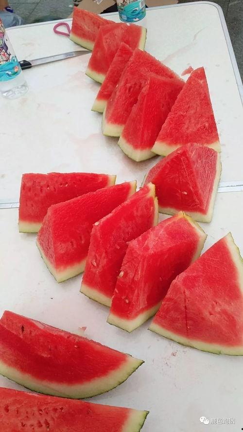 吃瓜比赛照片真实图片,一场吃瓜比赛的视觉盛宴