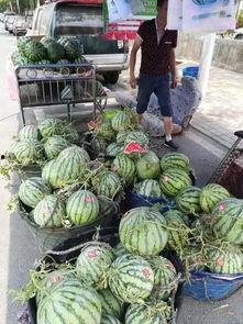 唐县惠友吃瓜事件,一场引发热议的社区冲突纪实