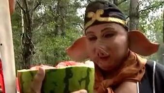 我吃皇帝的瓜,揭秘“我吃皇帝的瓜”背后的宫廷秘闻