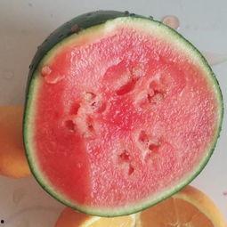 微山吃瓜视频,揭秘当地特色美食与风土人情