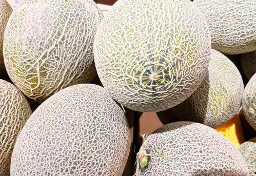 吃西州蜜瓜过敏,过敏体质者的饮食警示