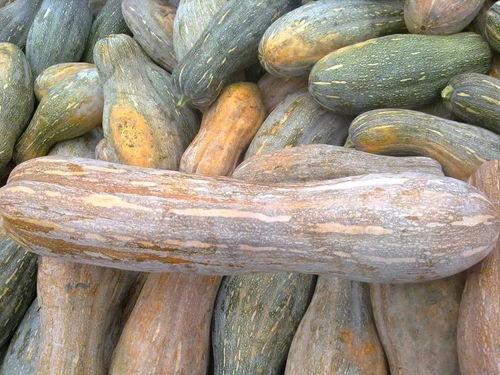 外皮可以吃的瓜,揭秘可食用外皮瓜类美食