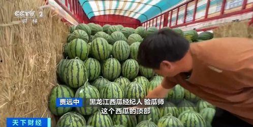 吃瓜吃到香,揭秘娱乐圈幕后故事