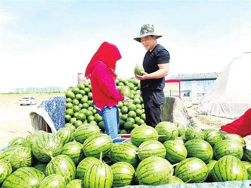 北湖新区吃瓜事件,揭秘网络谣言背后的真相