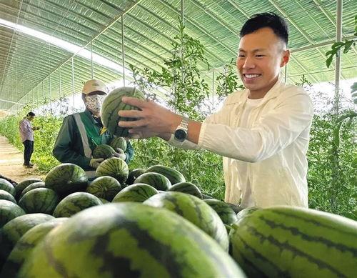 北湖新区吃瓜事件,揭秘网络谣言背后的真相