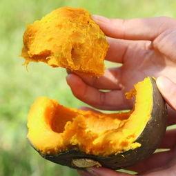 孕妇天天吃小瓜,助力母婴健康营养之旅